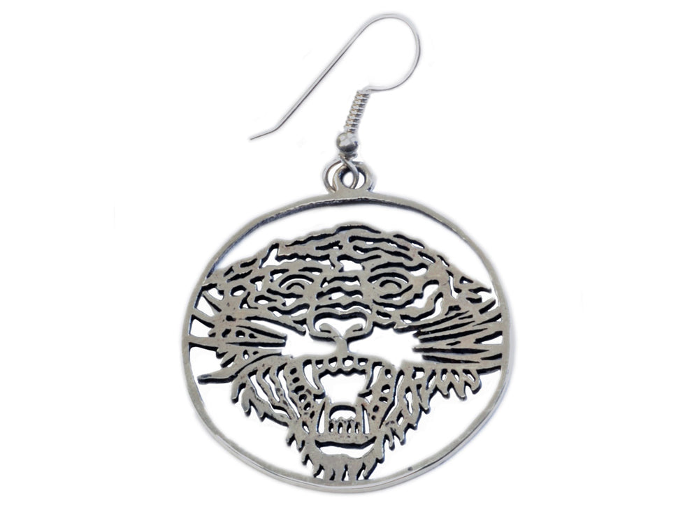 Stainless Steel Shepherd Hook Earrings