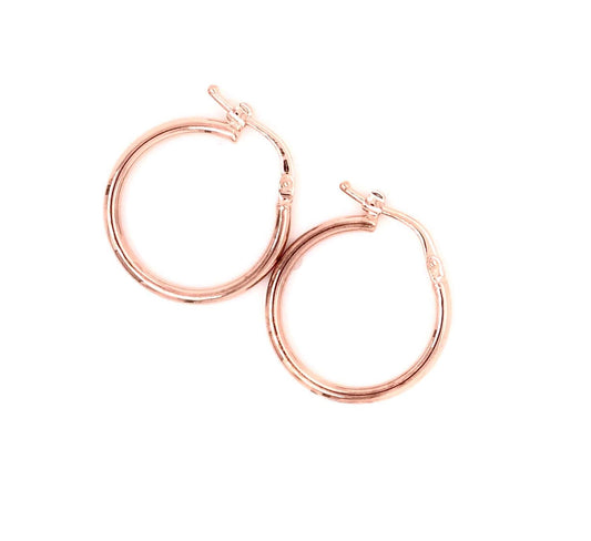 9k RG Round Hoop Earrings (2mm)