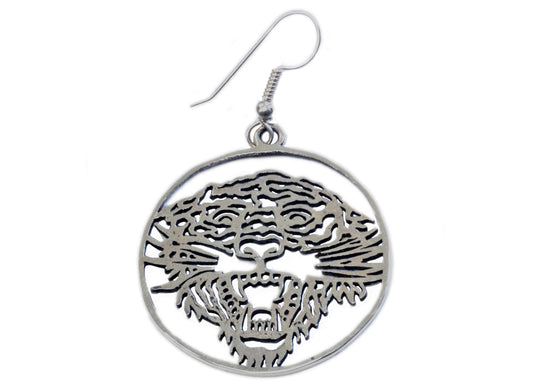 Stainless Steel Shepherd Hook Earrings