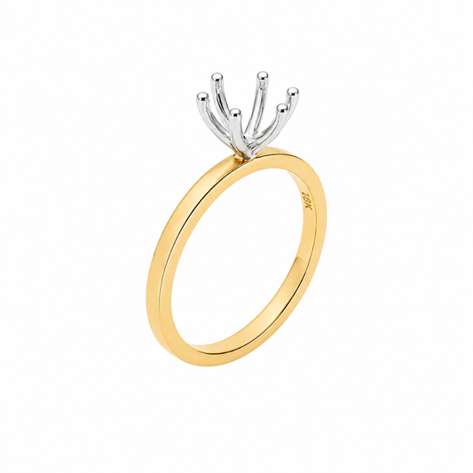 1ct 6-Claw Engagement Ring